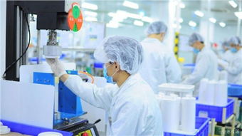 嘉定区危废处置合同技术服务 专业、安全、高效——欢迎咨询锦梅供应信息技术咨询服务