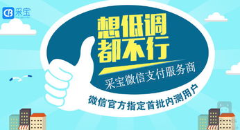 微信支付下线服务商采宝支付服务商代理的定义及其在信息技术咨询服务中的作用