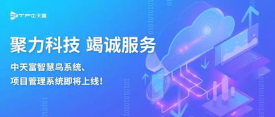 聚力科技携手智慧鸟系统 项目管理系统即将上线，引领信息技术咨询服务新篇章