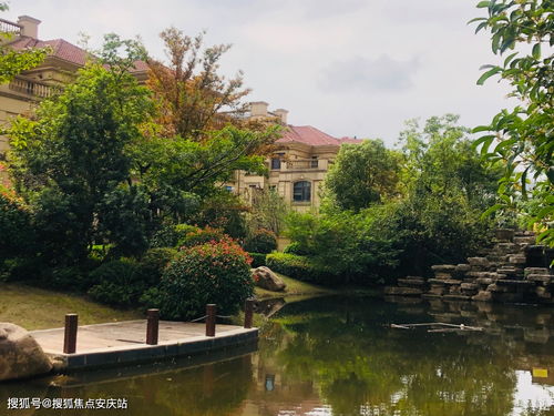 今日热盘推荐 楼盘详情与信息技术咨询全解析